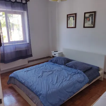 Bruna Bilice Vrulje (Kornati)